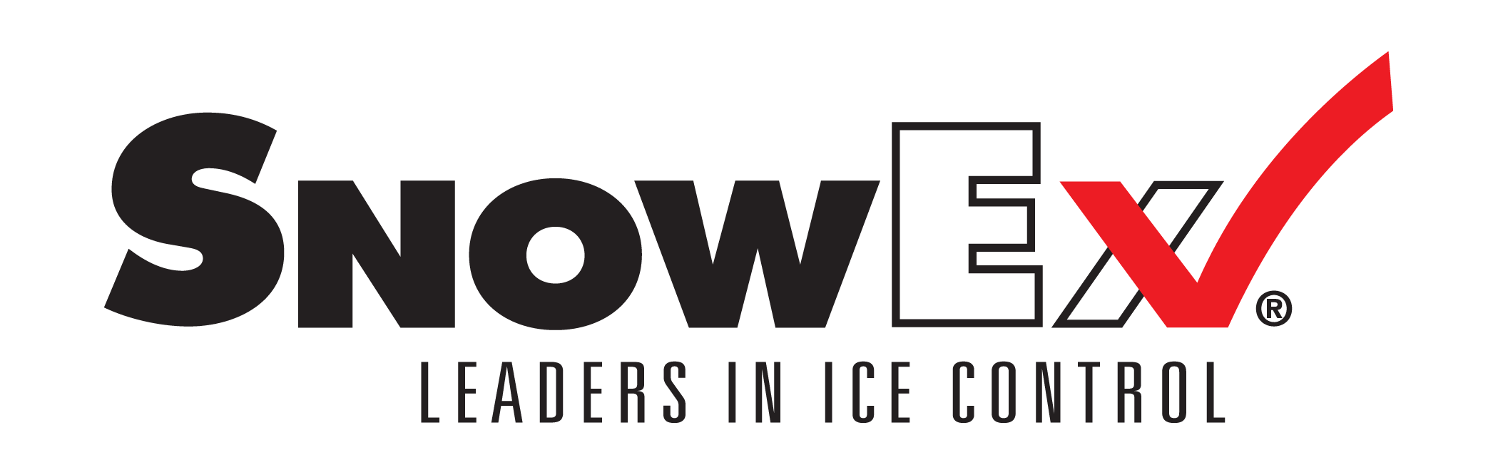 SnowEx Logo